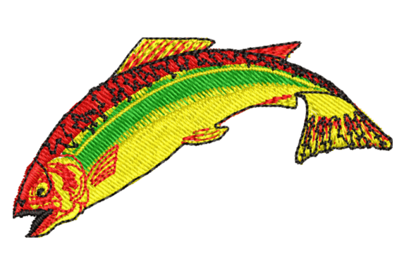 Beautiful Fish
