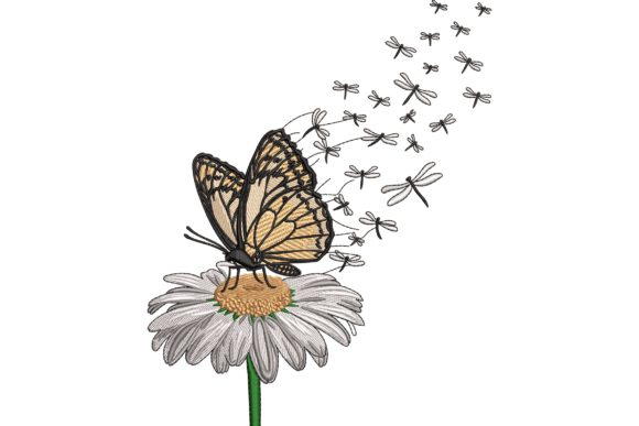 Butterfly and Daisy