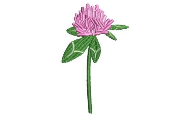 Clover Flower